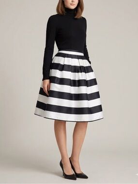 Stunning Black and White A-Line Skirt